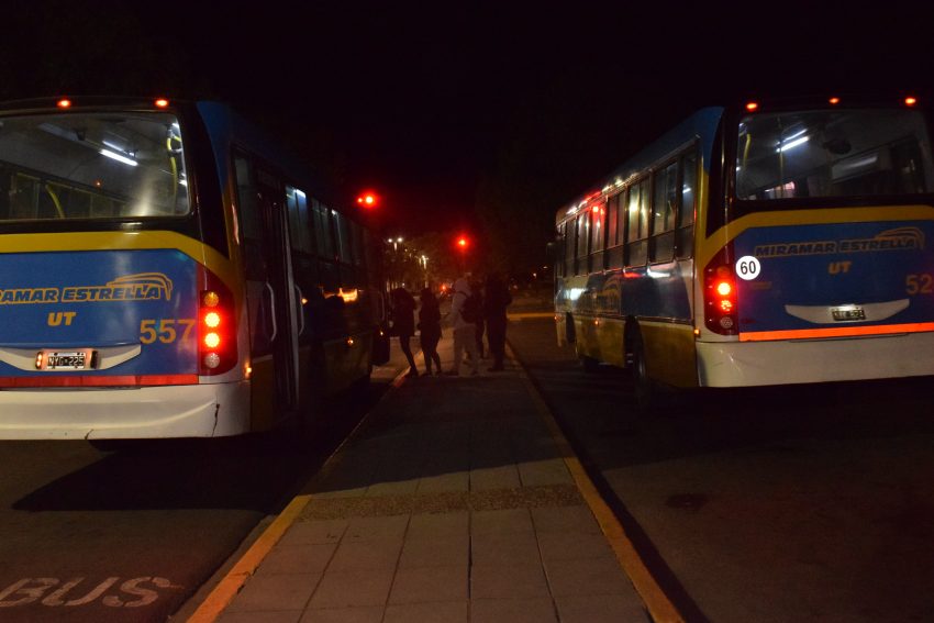 Renovarán pedido para el transporte capitalino