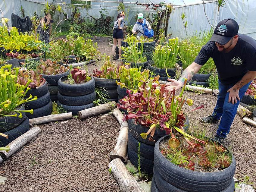 En Loreto se ofrece una experiencia magnífica