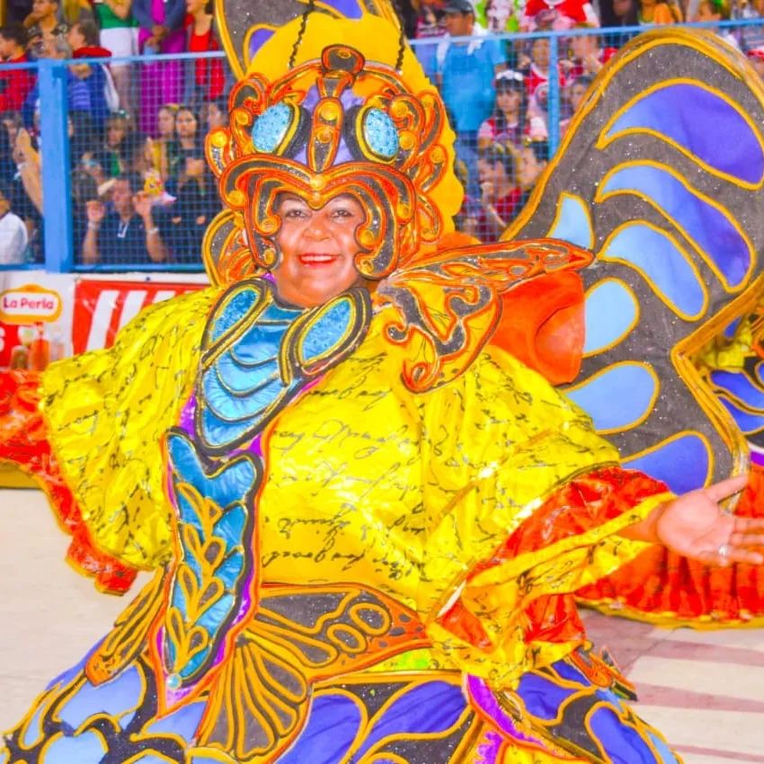 Multitudinarios desfiles de carnaval en el Interior