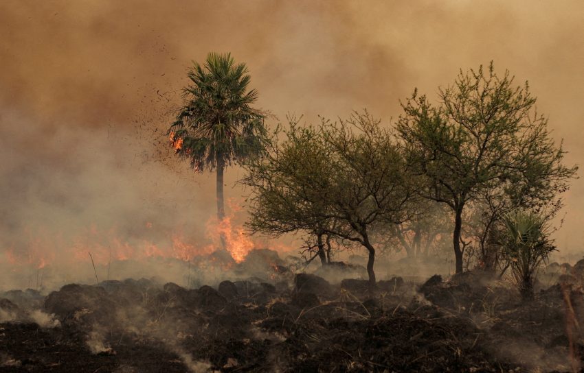Corrientes no registró incendios en las últimas horas