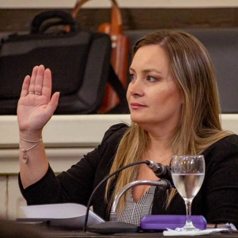 Galarza y Pannunzio, precandidatos del PA