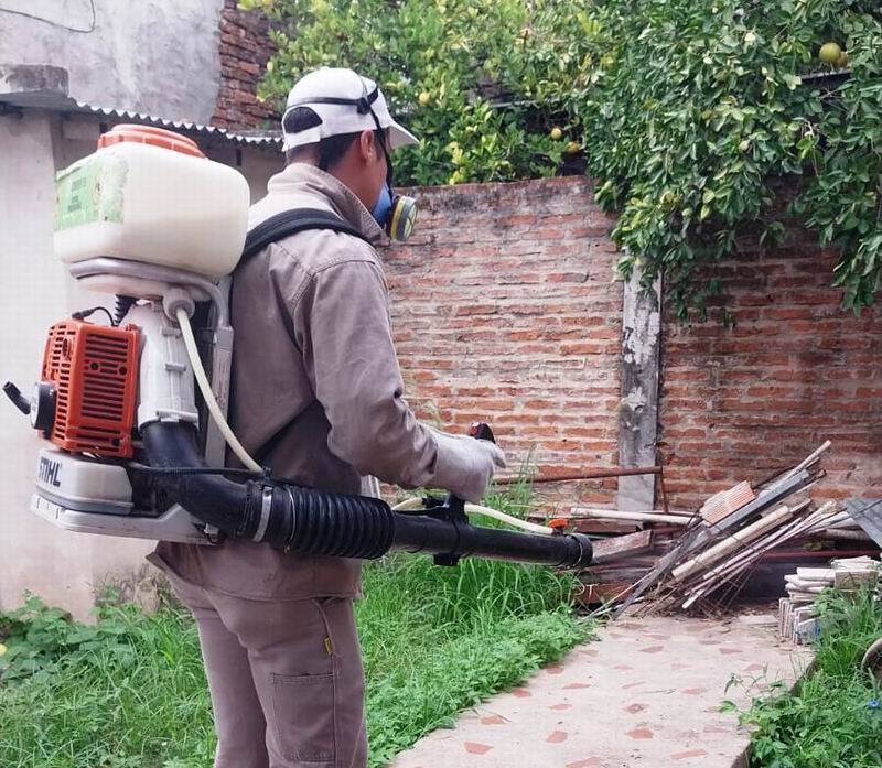 Dengue: nuevo llamado a la población para que refuerce la prevención