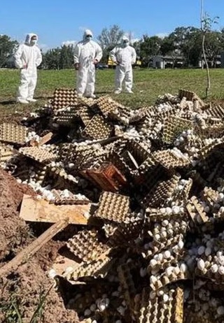 Avícola Santa Ana en el banquillo: el pueblo quiere saber de qué se trata