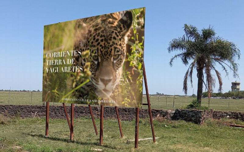 Vecinos del yaguareté, historias de testigos en el hogar del jaguar azul