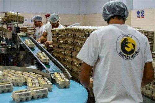 ¿Una tercera prueba? Lo que dijo el Senasa tras el negativo en la avícola correntina