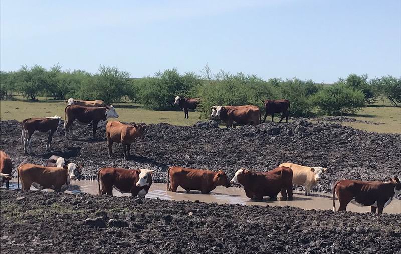 Advierten que la sequía no acabó