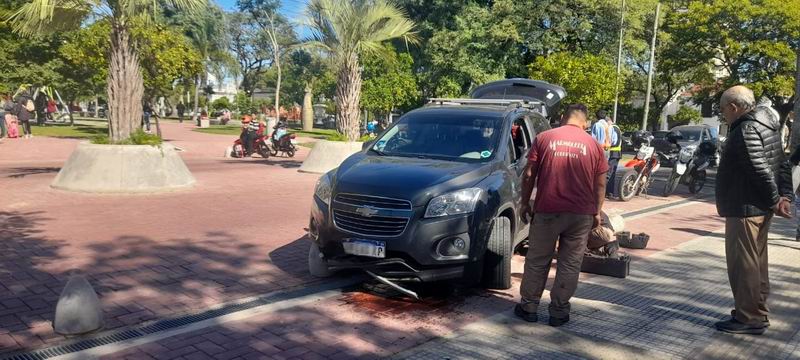 La multa máxima por destruir los bienes públicos sería de $600 mil