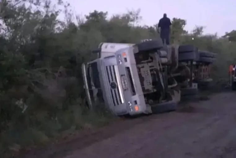 Murieron 38 terneros tras el vuelco de un camión en un camino rural