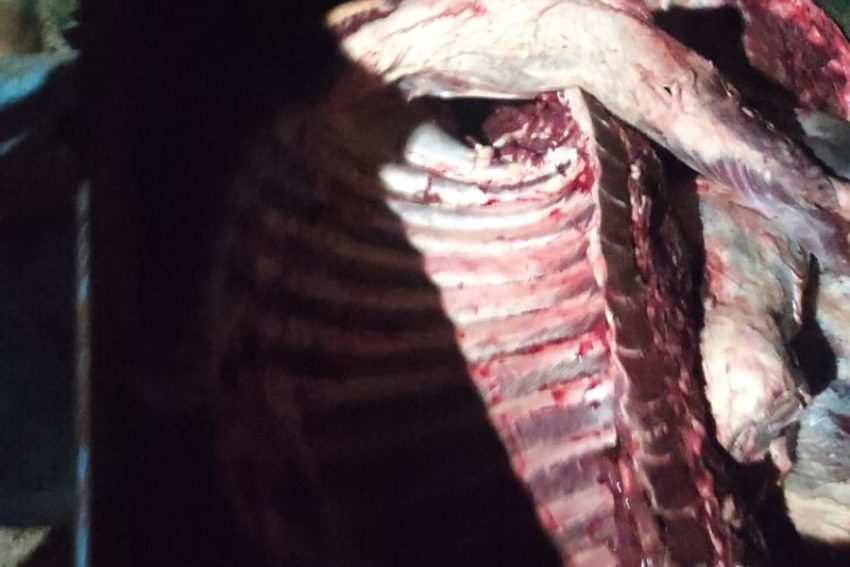 Incautaron 80 kilos de carne no apta para consumo humano en el interior provincial