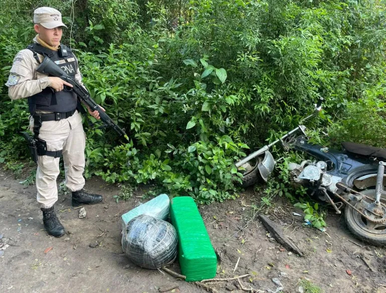 Prefectura secuestró 20 kilos de marihuana ocultos en un baldío del interior provincial
