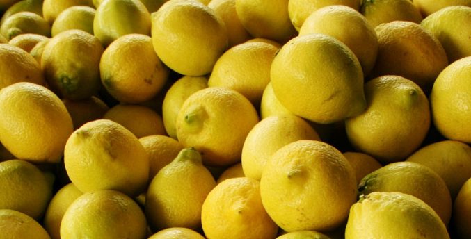 Cítricos: medida anunciada por la Nación no impactará en Corrientes