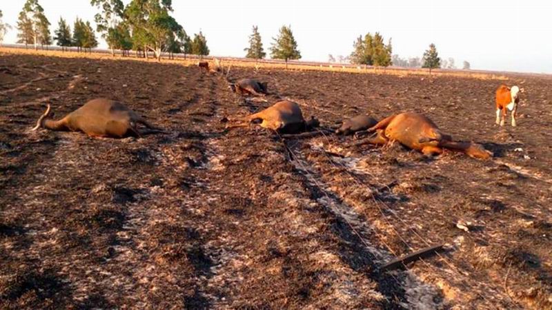Reunión para dar certezas sobre la prórroga de la Emergencia Agropecuaria