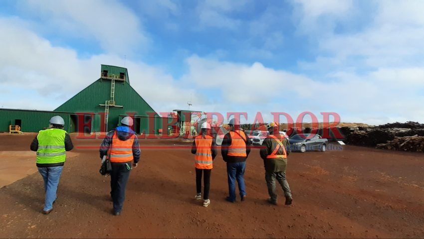 «La apuesta principal del proyecto es el desarrollo de talentos regionales»