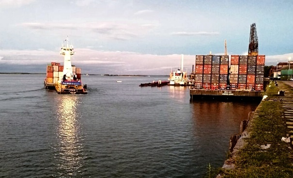 Las exportaciones se desploman 52%