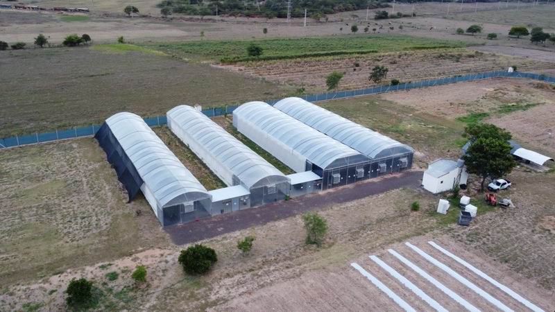 Caá Cannabis: finalizó la obra del primer laboratorio piloto