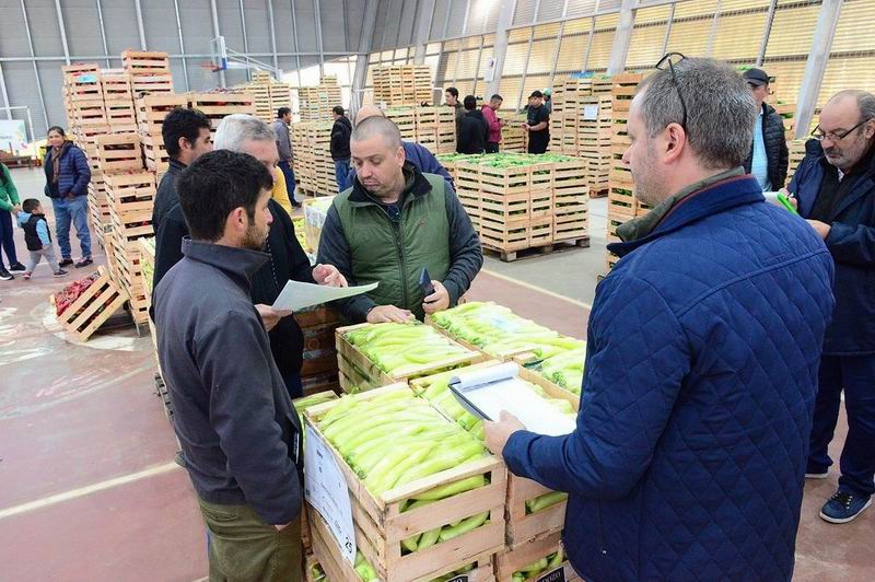 Gran convocatoria en el 3° Remate Frutihortícola