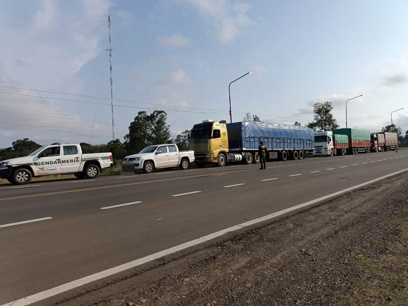 Gendarmería interceptó camiones que llevaban casi 90 toneladas de soja