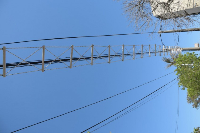 Pasafauna_Corrientes_diarioElLibertador
