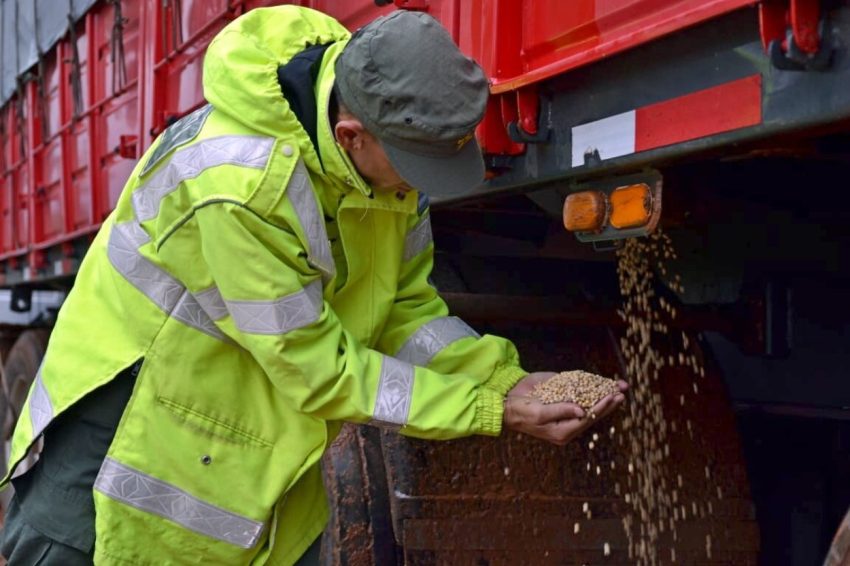 Detuvieron dos camiones con 60 toneladas de soja sin el aval legal