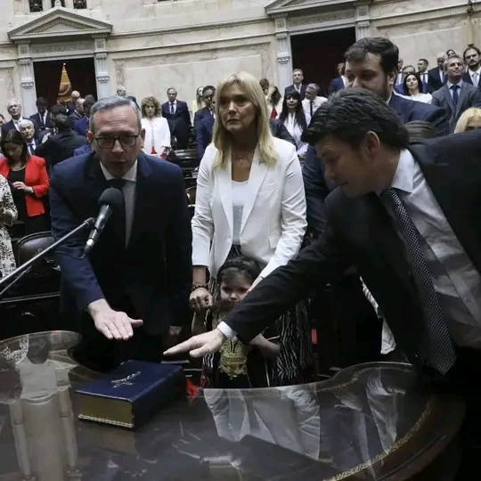 El radicalismo colaborará con Milei