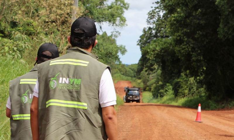 La yerba mate, en un escenario nuevo