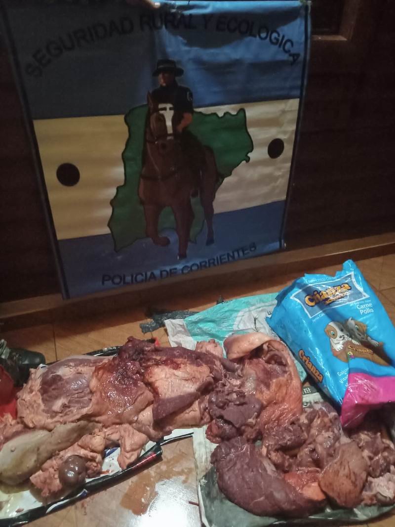 Recuperaron carne de faena ilegal tras un tiroteo con los malvivientes