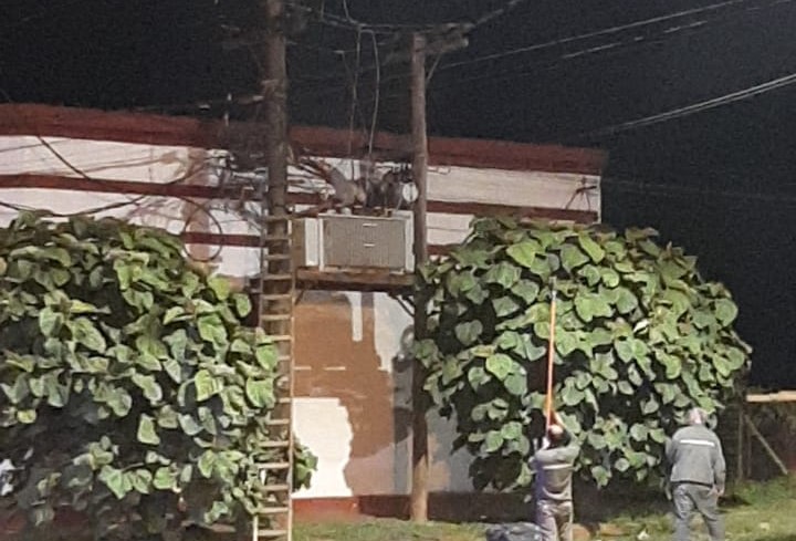 Se electrocutó en un transformador y presumen que intentaba robar cables