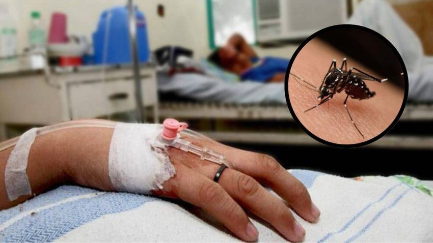 Alerta dengue: los signos de alarma para ir urgente al médico