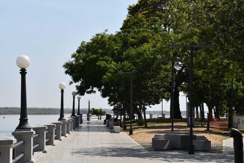 Revelan que la Costanera poseería baja diversidad de árboles y recomienda introducir mayor vegetación