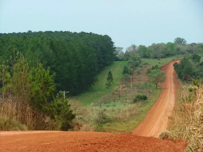 Los forestadores aportan un informe sobre rutas para la planificación vial