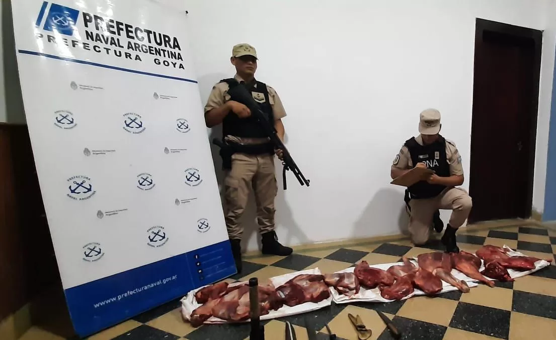 Caza furtiva: lo incautado valía más de 250 mil pesos