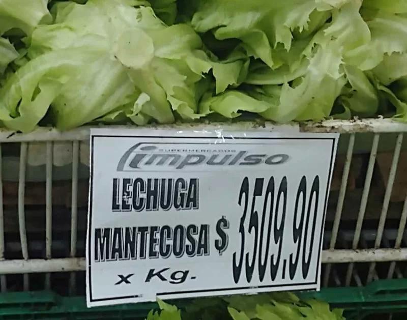 Un kilo de lechuga cuesta casi lo mismo que algunos cortes vacunos