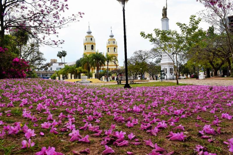 Goya: el origen del nombre de un polo mundial de la pesca deportiva