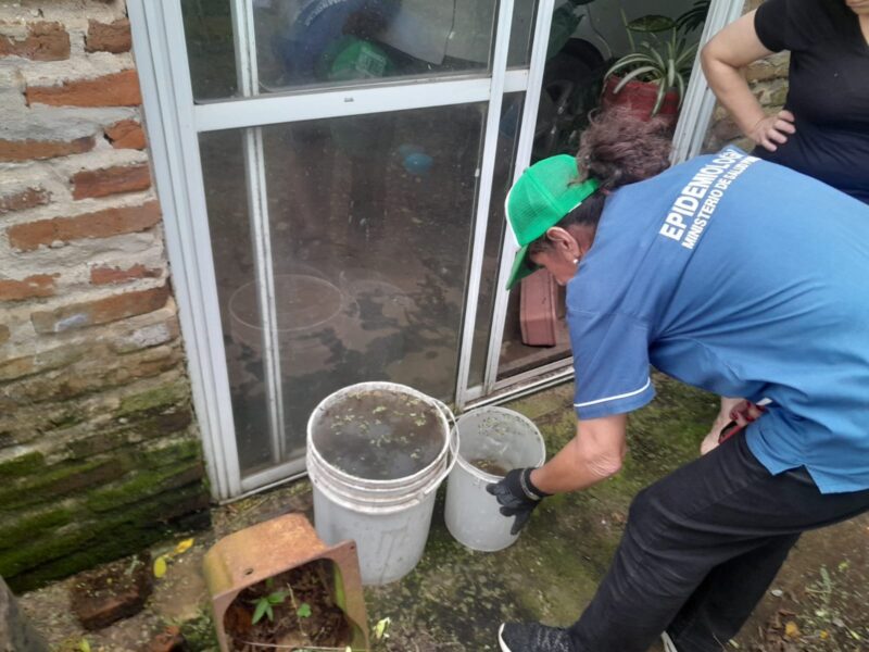 Dengue: el mosquito puede continuar en las casas a pesar del frío