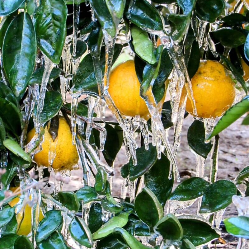 Corrientes, del fuego al hielo