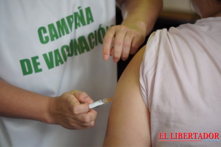 Vacuna contra el Dengue: novedades sobre la segunda dosis