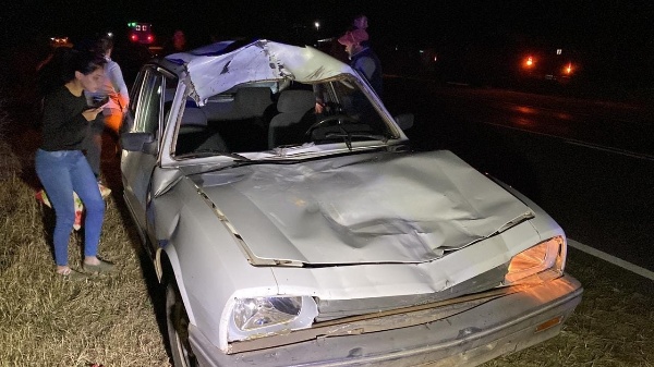 Violento choque por un caballo que cruzó la ruta