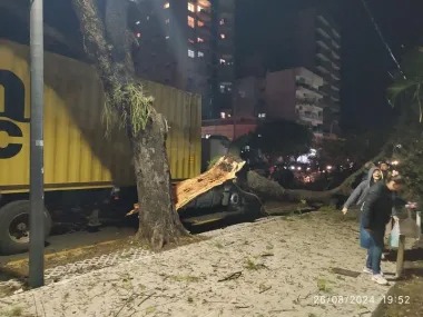 Camión con container chocó un árbol y causó destrozos en el ingreso al Puerto