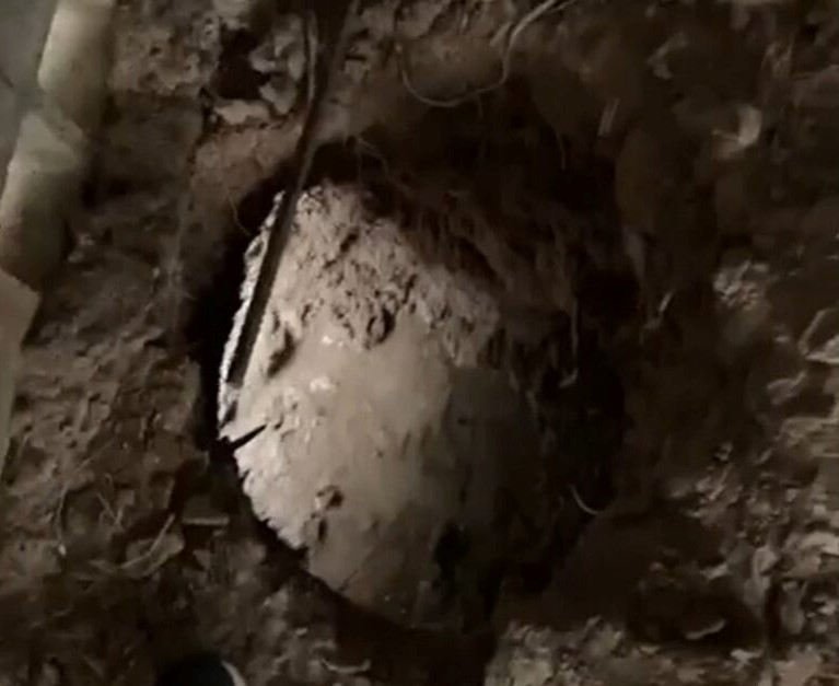 Hicieron un boquete y robaron a una conocida empresa de transporte