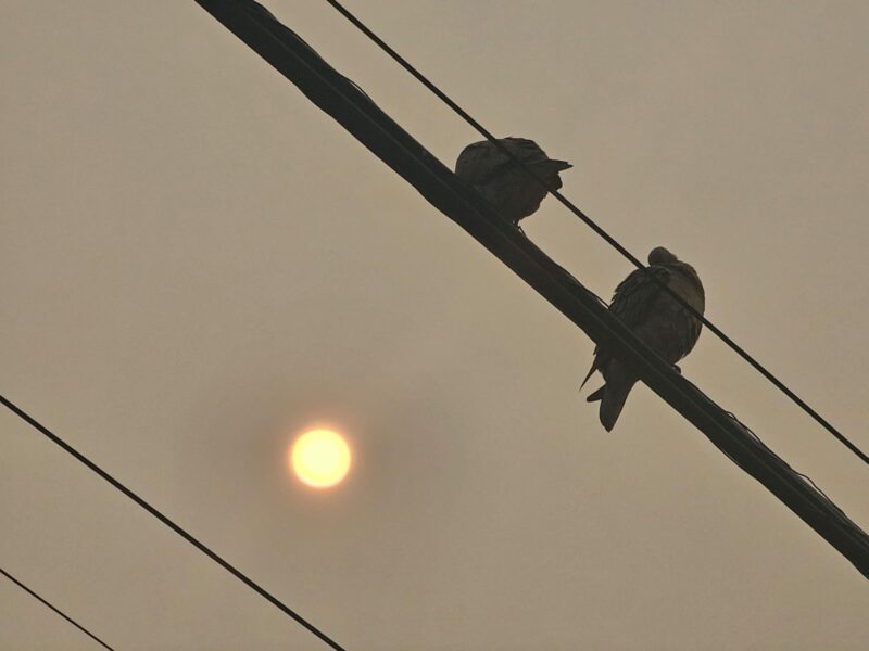 Un “techo de humo” cubre a Corrientes