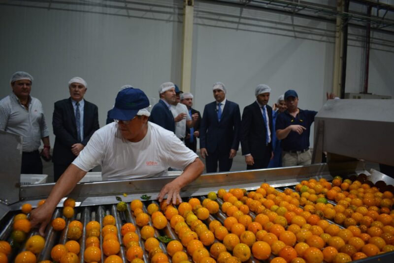 Anselmo destacó avances en la industrialización de cítricos correntinos