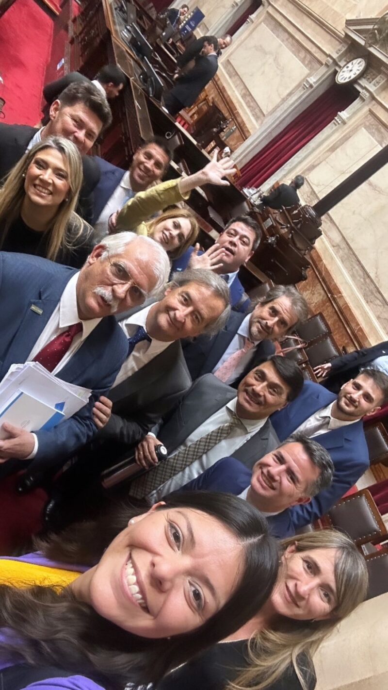 Almirón al kirchnerismo: «Guárdense el discurso cínico»