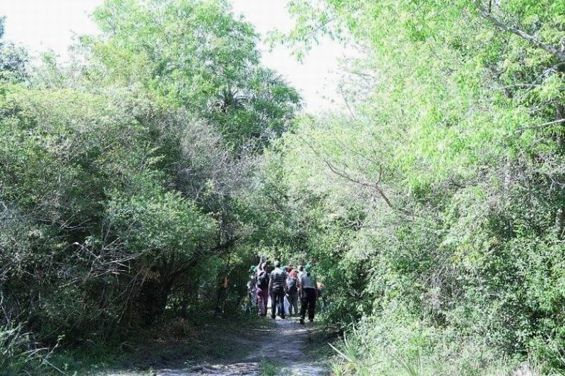 Más sombra, menos calor: invitan a la gente a votar propuestas de arbolado
