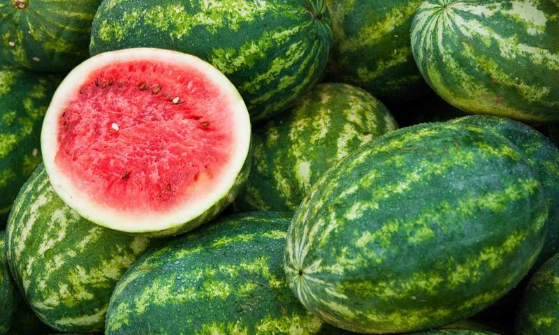 Esquina se prepara para la 52ª Fiesta Provincial de la Sandía y la Producción