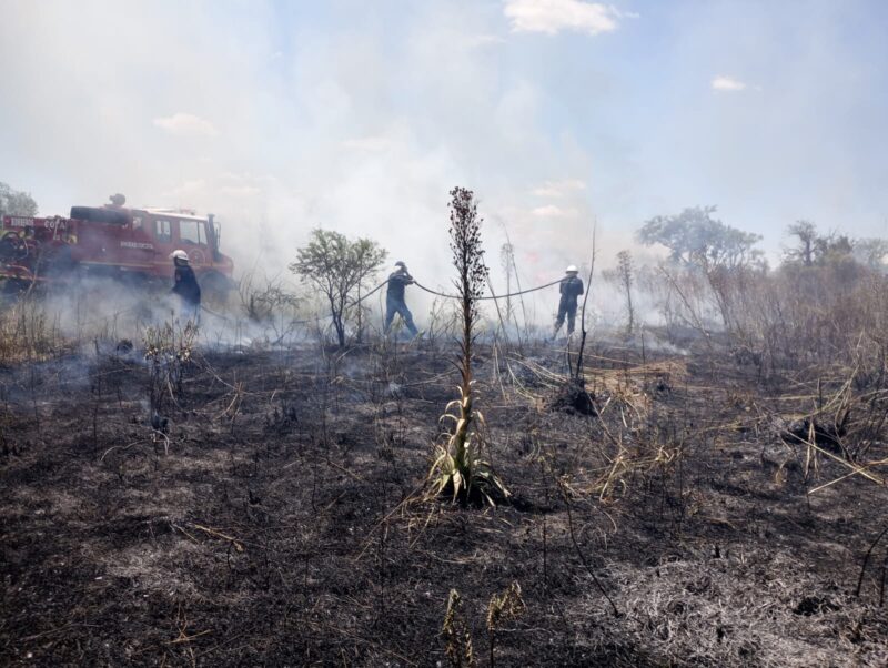 Voraz incendio de campos y pastizales en el acceso sur de Goya