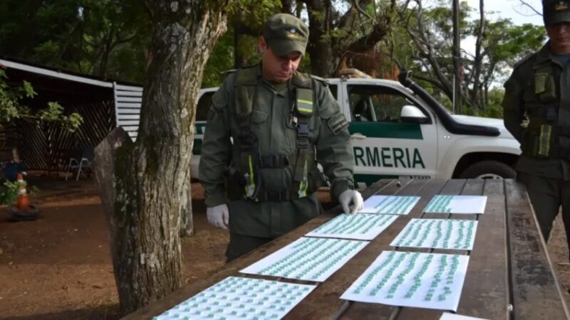 Incautaron millonario cargamento de pastillas de éxtasis en Corrientes