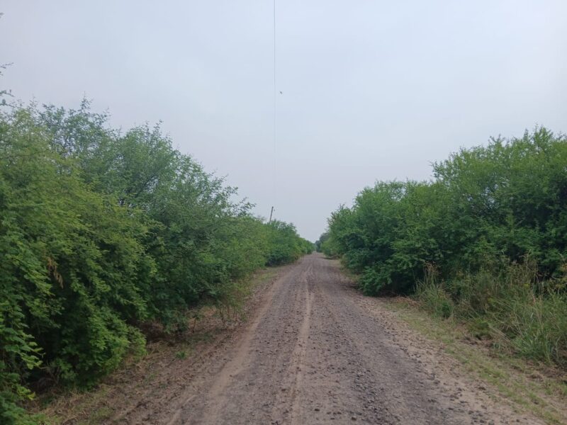 Vecinos de La Casualidad solicitan podas en la ruta 60
