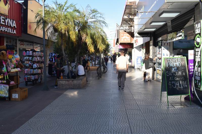 Collantes: «El comercio está trabajando a media máquina»