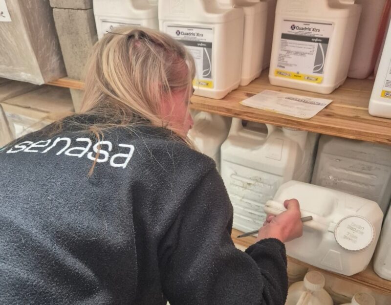 Detectan más de 600 envases de productos fitosanitarios ilegales