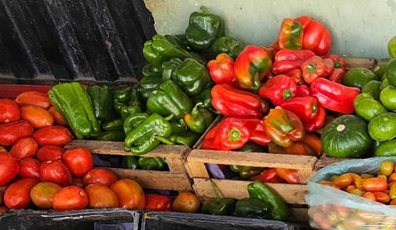 Frutas y verduras: precios favorables en los productos de consumo básico